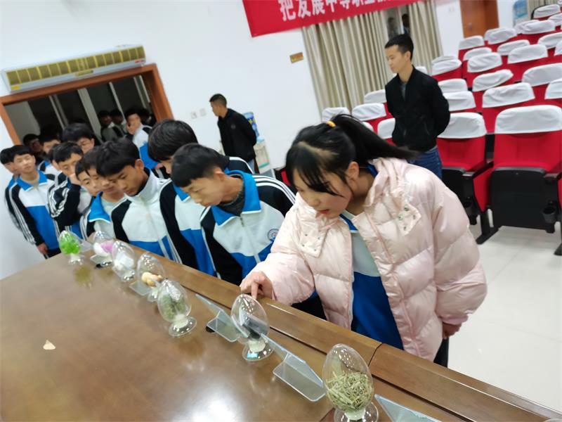 开展禁毒知识讲座  助力示范创建验收